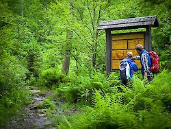 Erstmals Elchnachwuchs im Nationalpark Bayerischer Wald